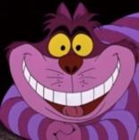 cheshire